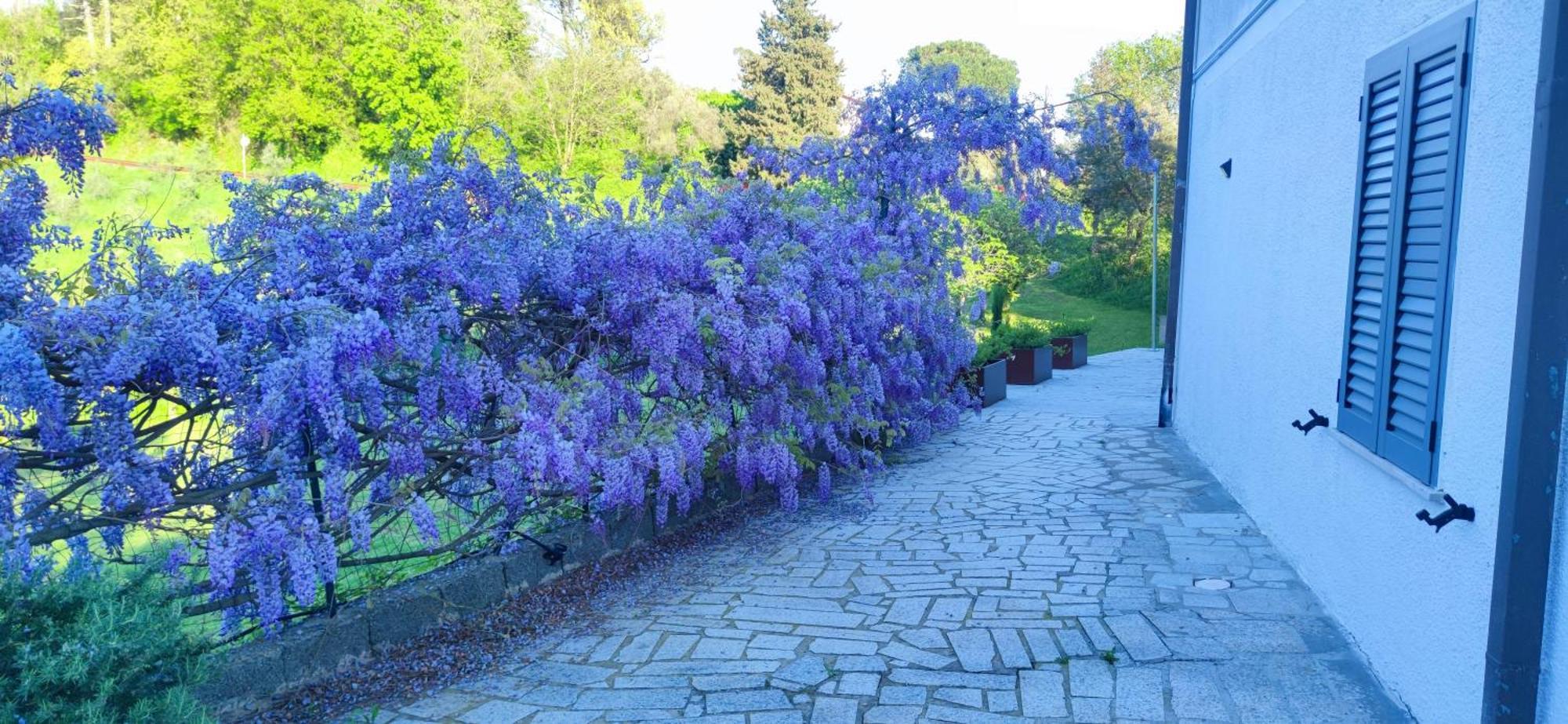 Residenza Bertolini Fosdinovo Exterior foto