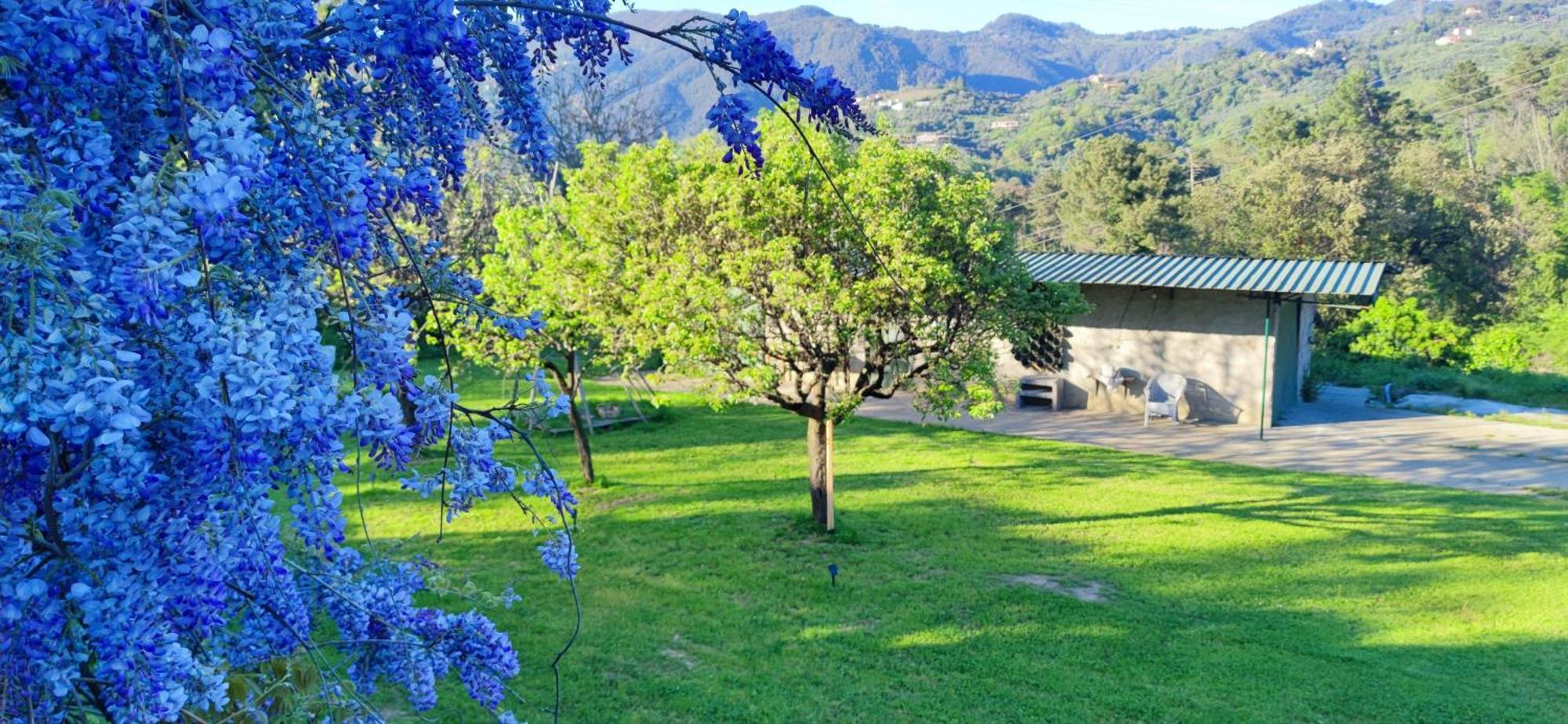 Residenza Bertolini Fosdinovo Exterior foto